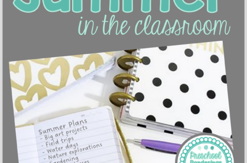 embracing summer in the classroom