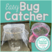 simple bug catcher
