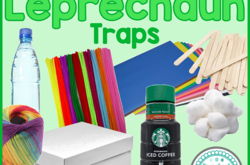 Leprechaun trap supplies