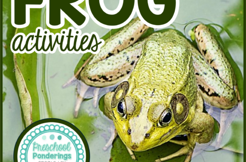 preschool frog activities