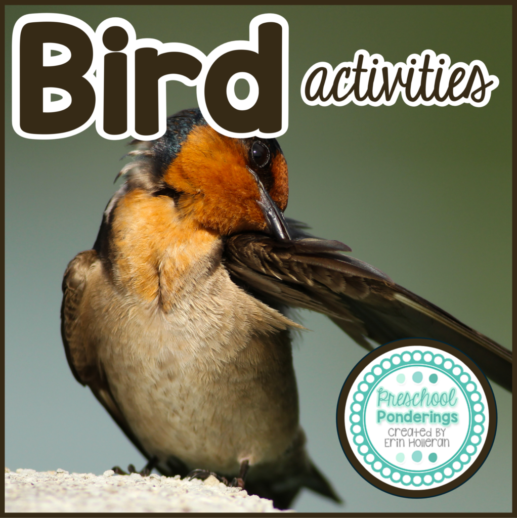 Preschool Bird Activities