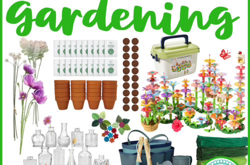 classroom gardening