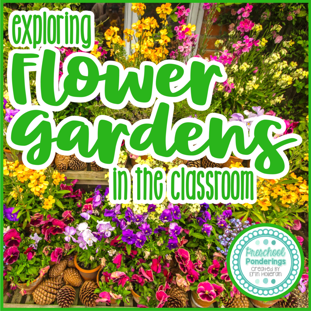 exploring flower gardens with preschoolers