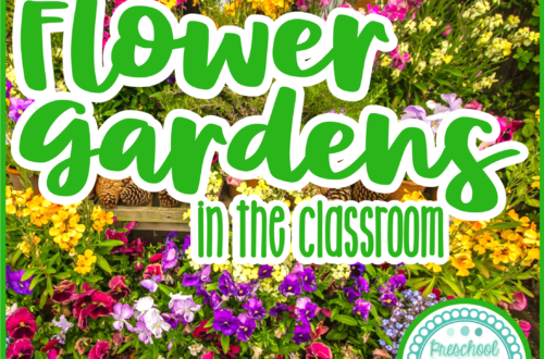 exploring flower gardens with preschoolers