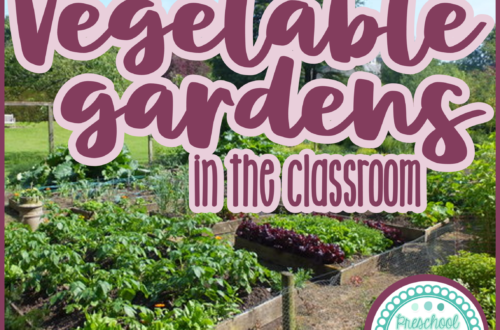 vegetables and gardening