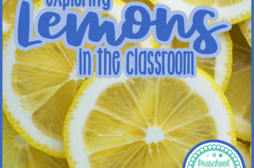 Lemon Preschool Activities