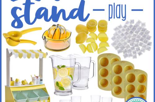 Lemonade Stand Supplies