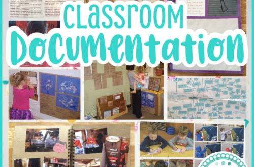 Project Documentation