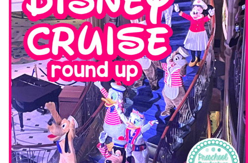 Disney Cruise tips