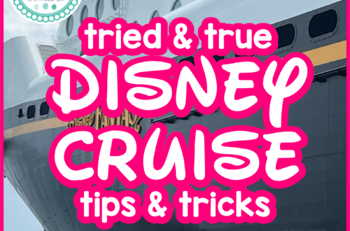  Disney Cruise Tips