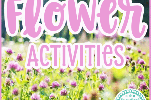 preschool flower activities